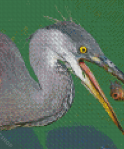 The Grey Heron With Fish Diamond Paintings