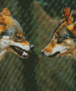 Wolves Face To Face Diamond Paintings