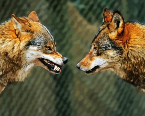 Wolves Face To Face Diamond Paintings