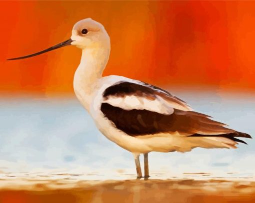 American Avocet Bird Diamond Paintings