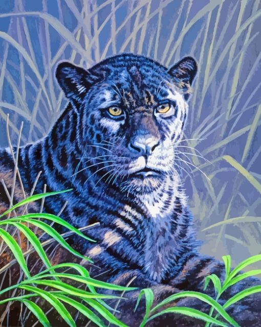 Black Jaguar Diamond Paintings