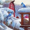 Blue Jay Birds In Winter Diamond Paintings