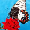 Butterfly On Red Rose Diamond Paintings