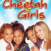 Cheetah Girls Movie Poster Diamond Paintings
