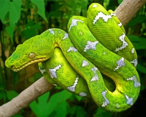Emerald Snake Diamond Paintings
