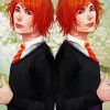 Fred And George Weasley Twins Characters Art Diamond Paintings