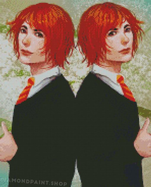 Fred And George Weasley Twins Characters Art Diamond Paintings