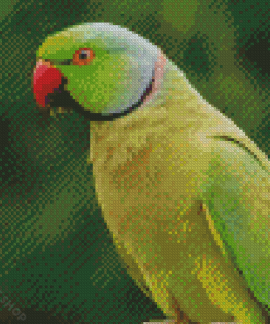 Green Rose Ringed Parakeet Diamond Paintings