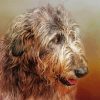 Irish Wolfhound Head Diamond Paintings