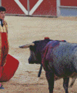 Matador And Bull Fight Diamond Paintings