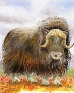 Musk Ox Art Diamond Paintings