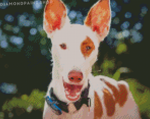 Podenco Dog Face Diamond Paintings