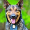 Police Dog Face Diamond Paintings