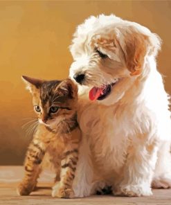 Puppy And Kitten Diamond Paintings