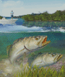 Sea Trout Fishes Diamond Paintings