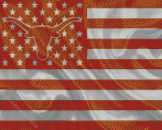 USA Texas Longhorn Flag Diamond Paintings