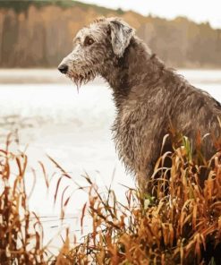 Wolfhound Dog Animal Diamond Paintings