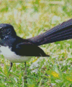Cool Willie Wagtail Diamond Paintings