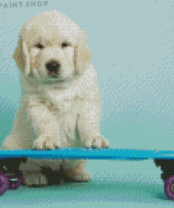 Cute Dog Skateboard Diamond Paintings
