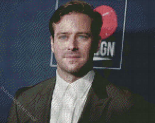 The American Actor Armie Hammer Diamond Paintings
