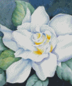 White Gardenia Flower Diamond Paintings