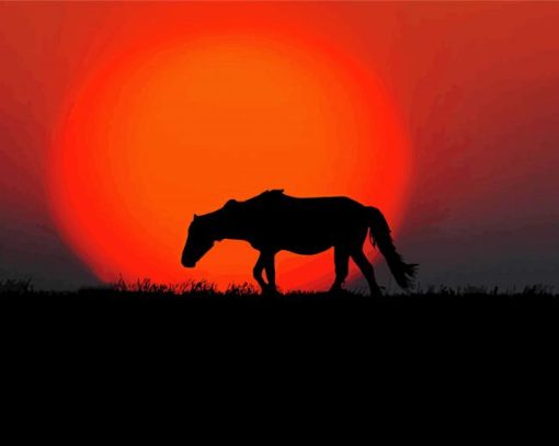 Wild Sunset Horse Diamond Paintings