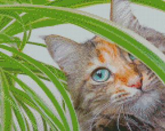 Adorable Plant Cat Diamond Paintings