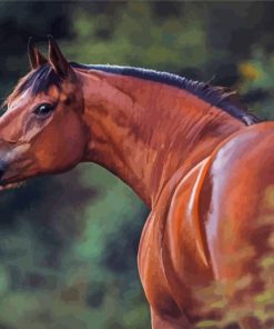 Bay Horse Animal Diamond Paintings