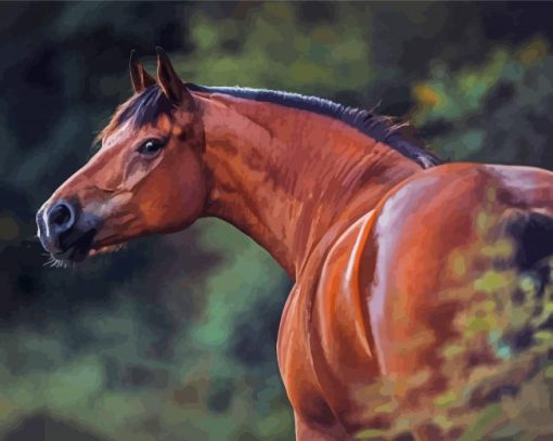 Bay Horse Animal Diamond Paintings