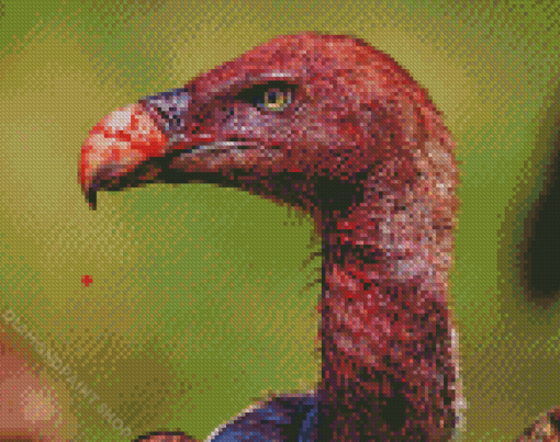 Bloody Volture Bird Diamond Paintings