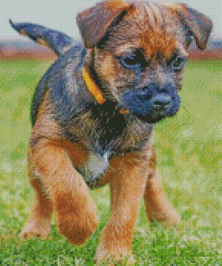 Border Terrier Puppy Dog Diamond Paintings