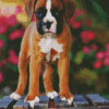 Boxer Puppy Diamond Paintings