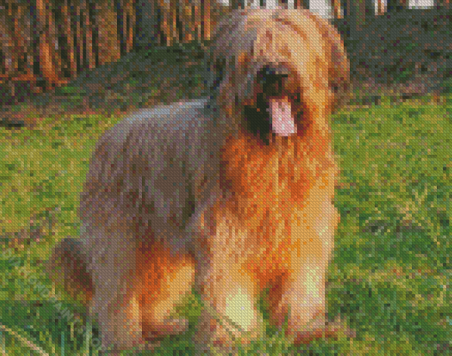 Briard Animal Diamond Paintings