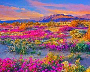 Desert Flowers Diamond Paintings