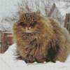Fluffy Siberian Cat Diamond Paintings