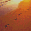 Footprints In Sand Diamond Paintings