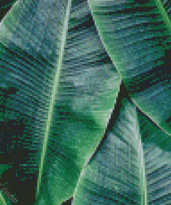 Green Banana Leaves Diamond Paintings