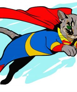 Illustration Superhero Cat Diamond Paintings