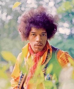 Jimi Hendrix Guitarist Diamond Piantings
