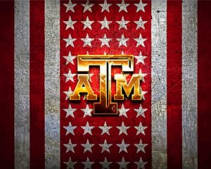 Texas A M Logo Art Diamond Paintings