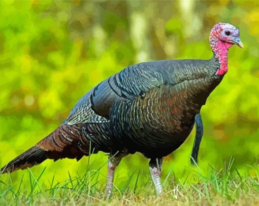 Wild Turkey Diamond Piantings