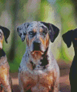 Aesthetic Catahoula Dogs Diamond Paintings