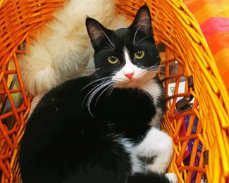 Aesthetic Cute Tuxedo Cat Diamond Paintings