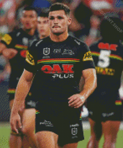 Aesthetic Penrith Panthers Player Diamond Piantings
