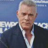 Aesthetic Ray Liotta Diamond Paintings