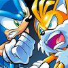 Angry Sonic And Tails Diamond Paintings