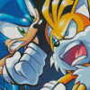 Angry Sonic And Tails Diamond Paintings