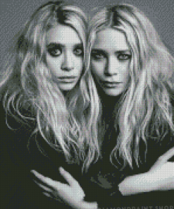 Black And White Mary Kate And Ashley Diamond Paintings