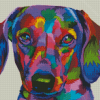 Colorful Dachshund Dog Diamond Paintings