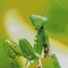 Green Praying Mantis Diamond Paintings